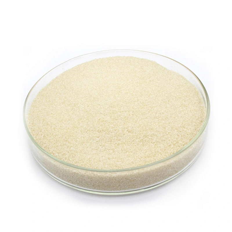 Gelatin Food Grade CAS 9000-70-8 Bloom Best Quality